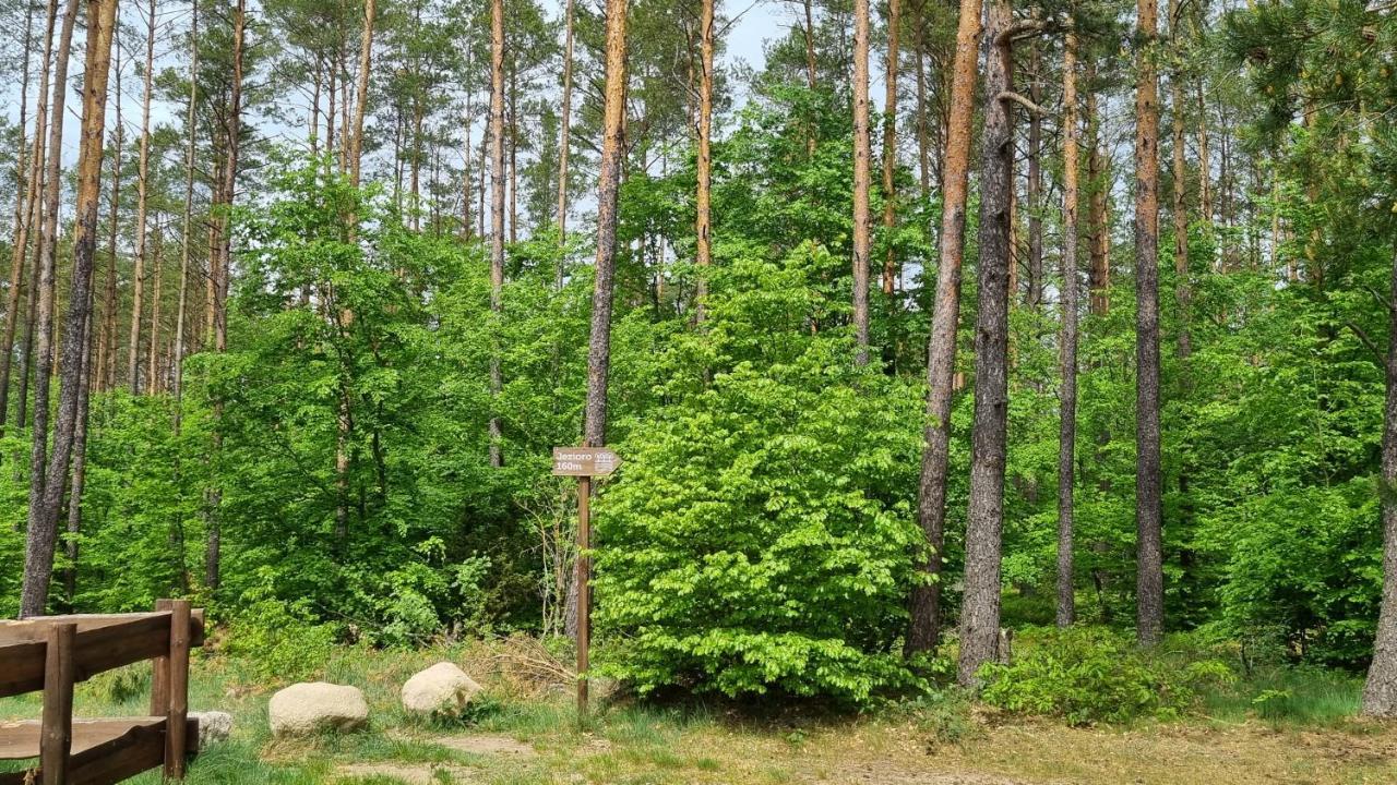 Ptasie Radio, Domek 48.2 Ostoja Bukowo Borowy Mlyn Exterior foto