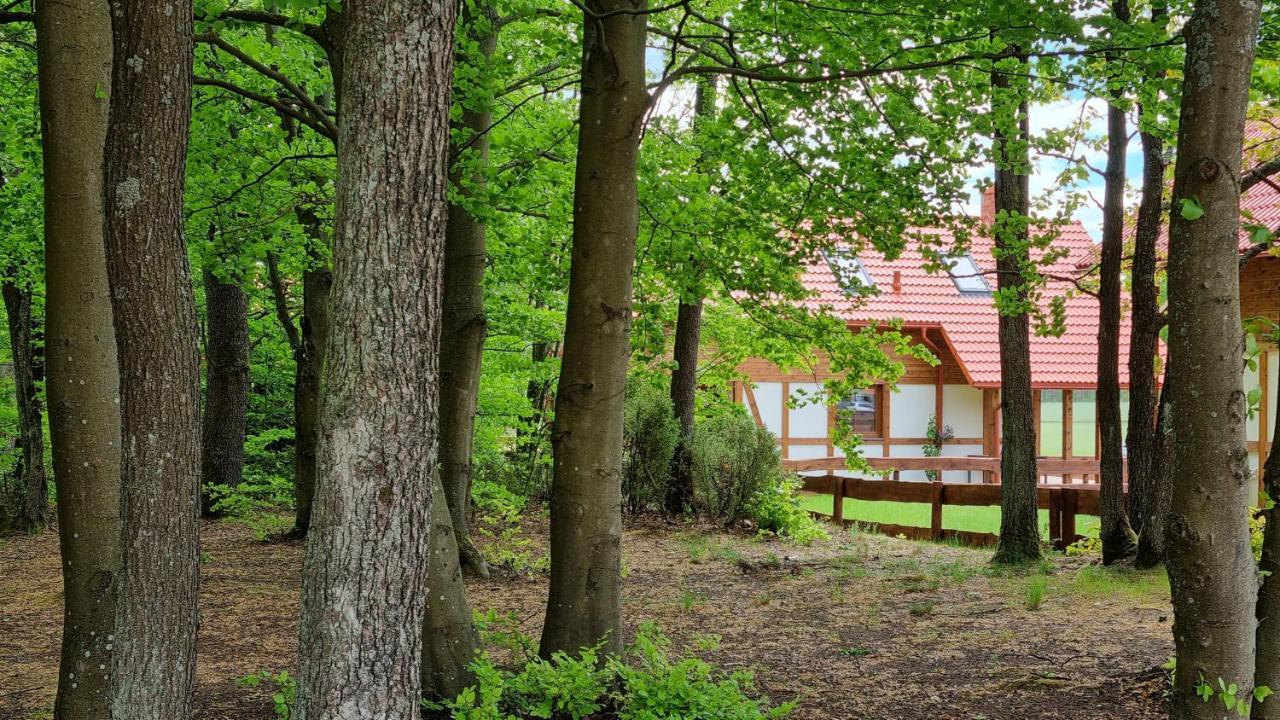 Ptasie Radio, Domek 48.2 Ostoja Bukowo Borowy Mlyn Exterior foto